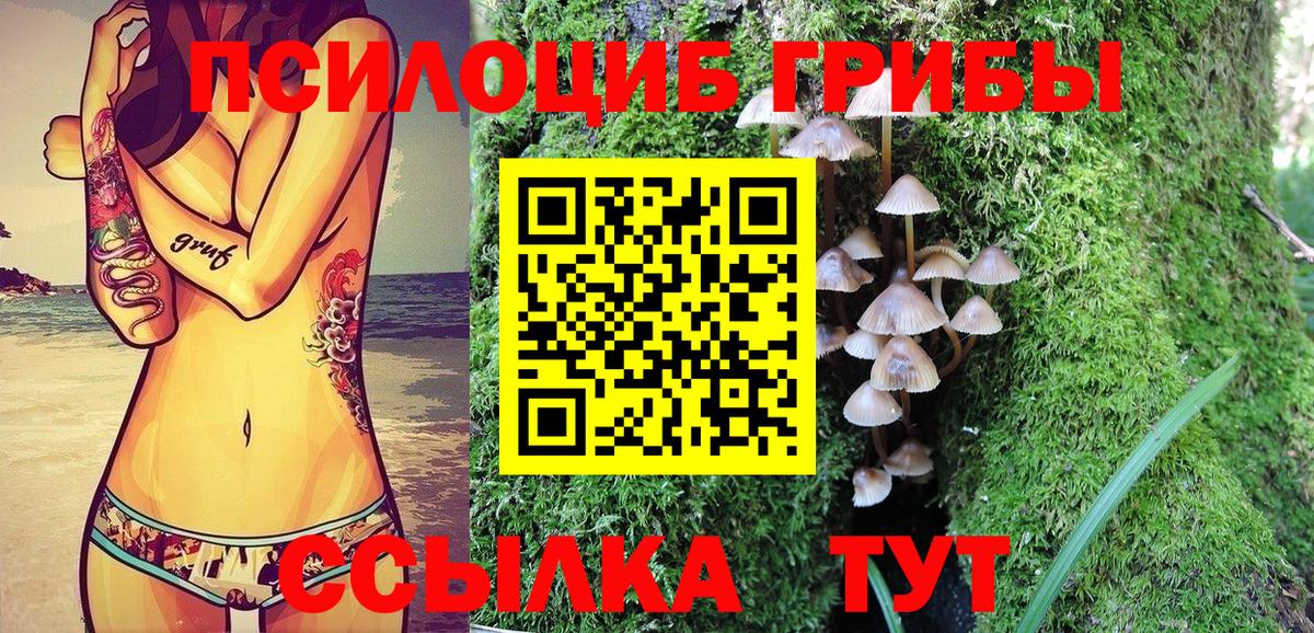 Нарьян-Мар  Псилоцибиновые грибы мухоморы  Псилоцибиновые грибы Psilocybe  Вход с VPN 